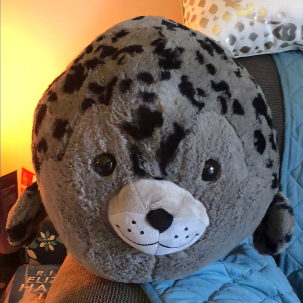 Round Harbor Seal Pillow Plushie!